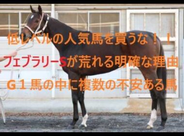 フェブラリーステークスで低レベルの人気馬を買うな！！ダブルハートボンド、コスタノヴァ、ウィルソンテソーロの中に複数の不安ある馬