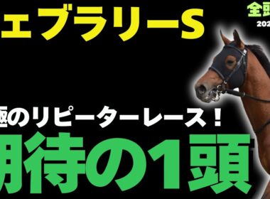 【フェブラリーS2026攻略】東京ダートの鉄則！勝率ランキングで見る真に買うべき軸馬とは【競馬予想】