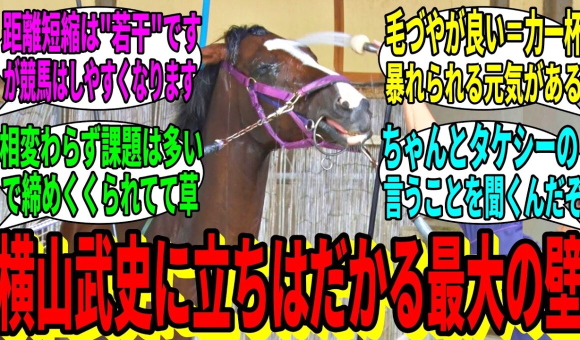 【競馬の反応集】「ナチュラルライズ、今回は違うらしい」に対する視聴者の反応集