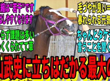 【競馬の反応集】「ナチュラルライズ、今回は違うらしい」に対する視聴者の反応集