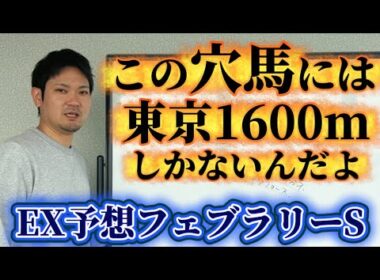 【競馬予想】フェブラリーSで1発かましたい