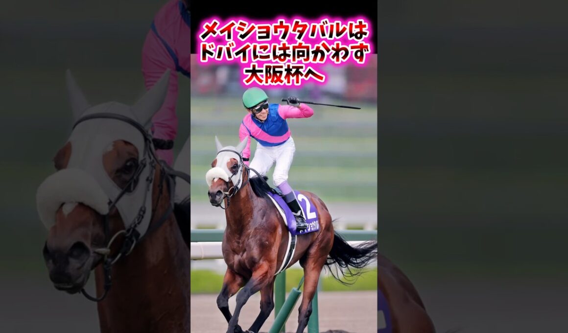 メイショウタバルはドバイには向かわず大阪杯へ【競馬反応集】#大阪杯　#メイショウタバル　#武豊