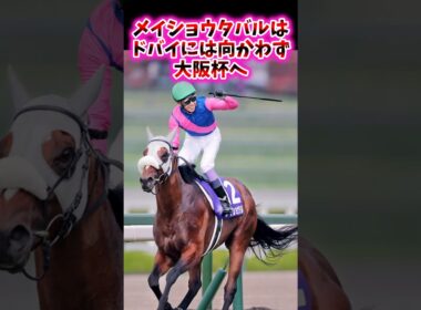 メイショウタバルはドバイには向かわず大阪杯へ【競馬反応集】#大阪杯　#メイショウタバル　#武豊