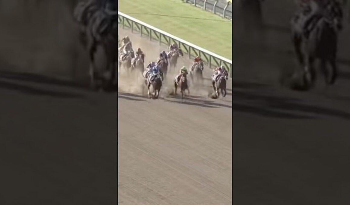 #フェブラリーステークス #ヤマニンウルス #ラムジェット #競馬予想 #ウィルソンテソーロ