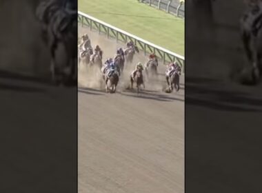 #フェブラリーステークス #ヤマニンウルス #ラムジェット #競馬予想 #ウィルソンテソーロ