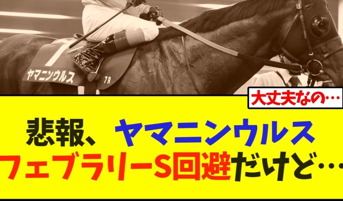 悲報、ヤマニンウルス、フェブラリーS回避だけど…【競馬】