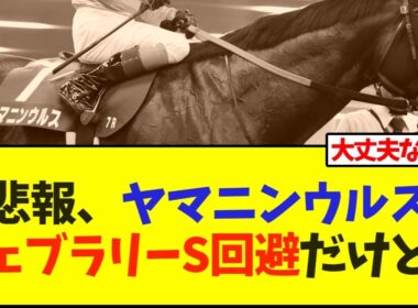 悲報、ヤマニンウルス、フェブラリーS回避だけど…【競馬】
