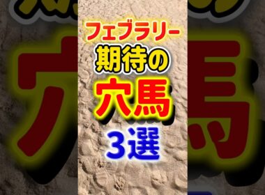 【フェブラリーステークス2026】フェブラリーS 期待の穴馬3選　#競馬　#競馬予想　#フェブラリーs  #フェブラリーステークス