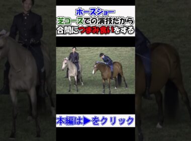 #ジャパンカップ2025 day  #スペシャルホースショーどころじゃない 目の前に芝があるじゃないか‼ モグモグつまみ食いに夢中 現地映像