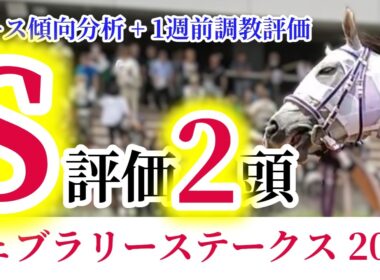 【フェブラリーステークス2026】9割の競馬ファンが戸惑う真実。圧倒的なスピードと「芝」適性で駆け抜けろ！日本一長い直線で繰り広げるハードな消耗戦！【競馬予想】