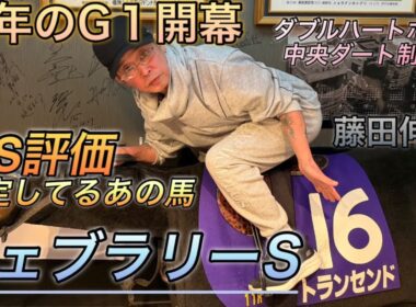 フェブラリーステークス 注目馬！