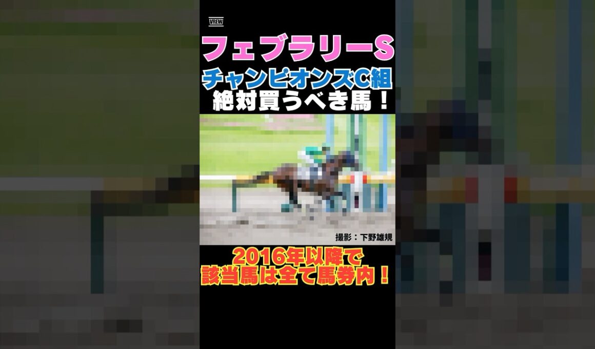 【フェブラリーS2026】チャンピオンズカップ組から絶対買うべき馬！2016年以降で該当馬は全て馬券内！