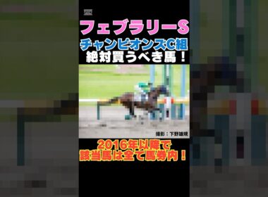 【フェブラリーS2026】チャンピオンズカップ組から絶対買うべき馬！2016年以降で該当馬は全て馬券内！