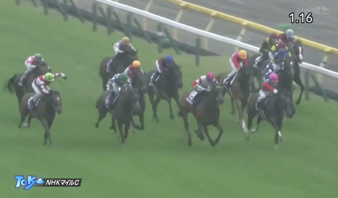 2023年 第28回 NHKマイルカップ(G1)(シャンパンカラー、内田博幸)