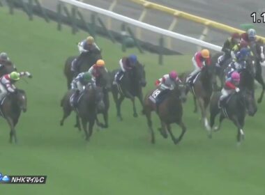 2023年 第28回 NHKマイルカップ(G1)(シャンパンカラー、内田博幸)