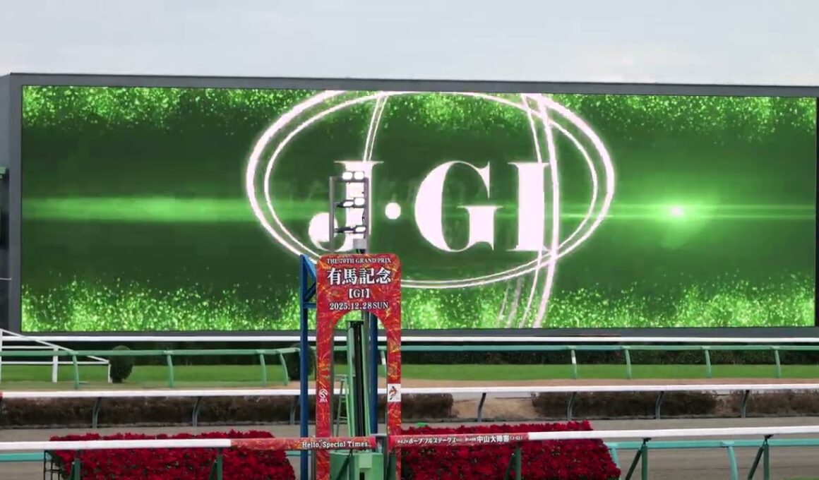 【2025年 中山大障害】煽りVからファンファーレ　現地映像