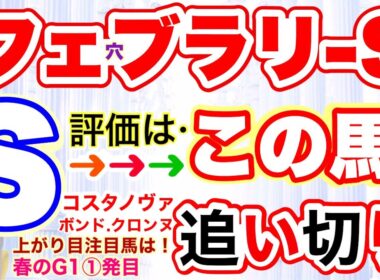 【フェブラリーステークス2026】しーいちの追い切り評価、コスタノヴァの走りは？逃げるダブルハートボンドは？上がり馬のロードクロンヌは！