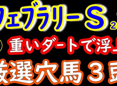 フェブラリーステークス2026穴馬3頭｜重い東京ダートで浮上するパワー型を厳選！人気盲点の激走候補を徹底分析
