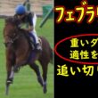 【フェブラリーステークス2026追い切り診断】重いダートで買えるのはパワー型！全頭徹底評価＆危険な人気馬を暴く