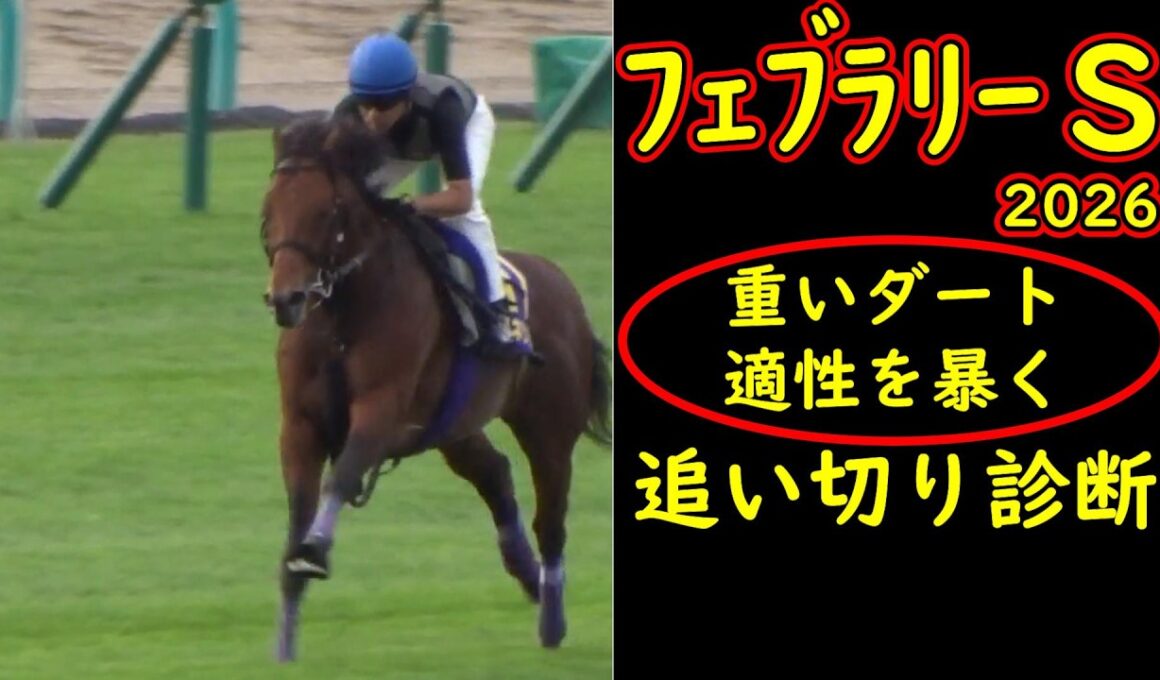 【フェブラリーステークス2026追い切り診断】重いダートで買えるのはパワー型！全頭徹底評価＆危険な人気馬を暴く