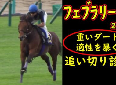 【フェブラリーステークス2026追い切り診断】重いダートで買えるのはパワー型！全頭徹底評価＆危険な人気馬を暴く