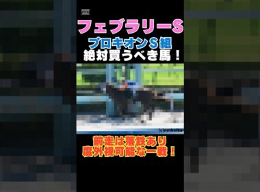 【フェブラリーS2026】プロキオンＳ組から絶対買うべき馬！前走は落鉄あり度外視可能な一戦！