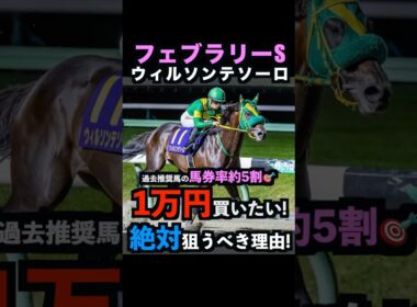 【フェブラリーS2026】1万円買いたい！絶対に狙うべき理由！#フェブラリーs2026 #フェブラリーステークス2026 #フェブラリーs #ウィルソンテソーロ #競馬予想tv #shorts