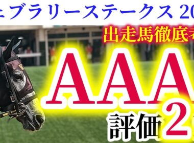 【フェブラリーステークス2026】絶対に買いたい！持続力+底力で日本一長い直線の攻防を制するのはこの馬！不器用タイプが浮上！器用タイプが埋没！？小細工不要の真っ向勝負！【競馬予想】