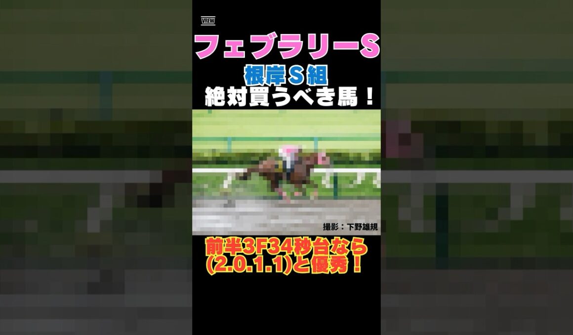 【フェブラリーS2026】根岸Ｓ組から絶対買うべき馬！前半3F34秒台なら(2.0.1.1)と優秀！