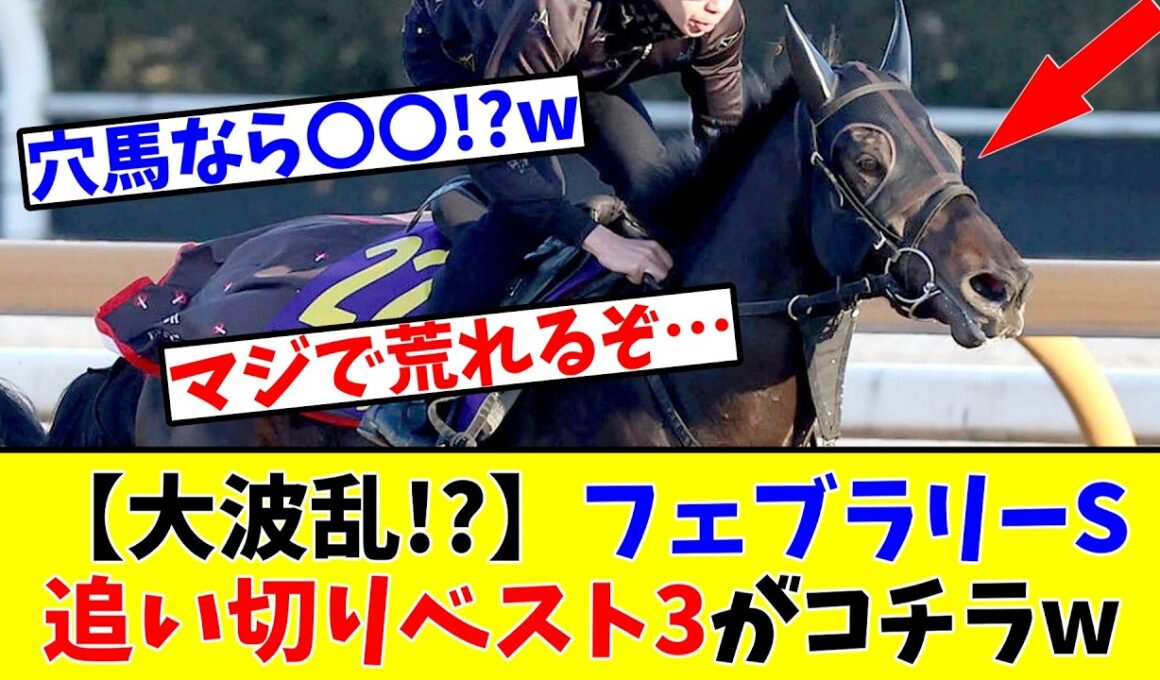 【フェブラリーS】【大波乱!?】予想家たちが真剣に選んだ追い切りベスト3がコチラwww