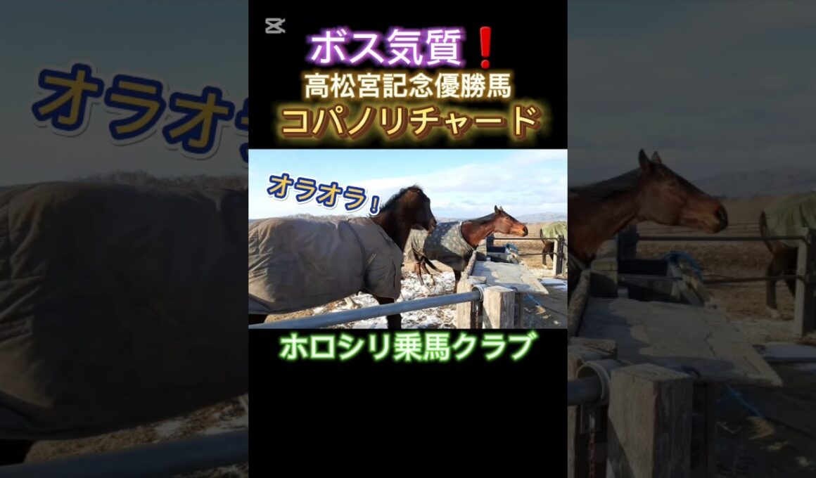 #コパノリチャード #高松宮記念 #ホロシリ乗馬