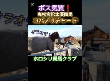 #コパノリチャード #高松宮記念 #ホロシリ乗馬