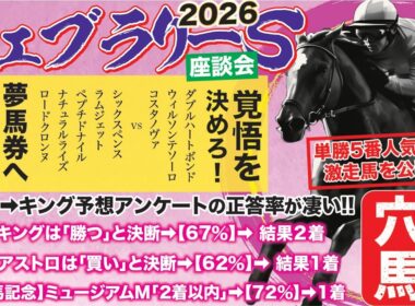 【３強に決断！】フェブラリーステークス2026【予想/穴馬】ウィルソンテソーロ、コスタノヴァ、ダブルハートボンドで本当に買いの馬とは！？