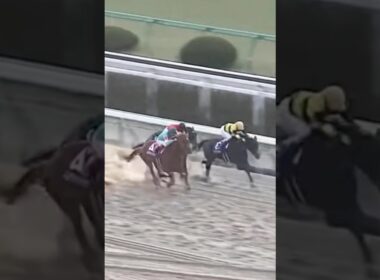 #フェブラリーステークス#コスタノヴァ #競馬 #競馬予想 #有馬記念 #東京競馬場