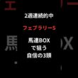 フェブラリーSワイドBOXで狙う自信の３　＃競馬　#フェブラリーステークス