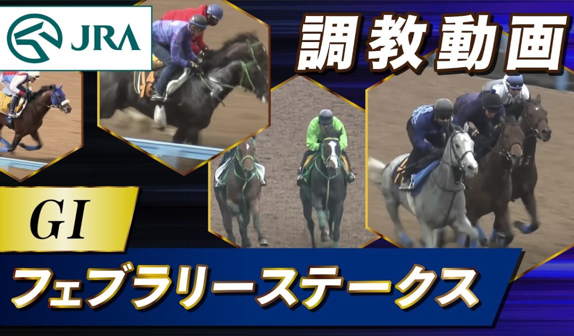 【調教動画】2026年 フェブラリーステークス｜JRA公式