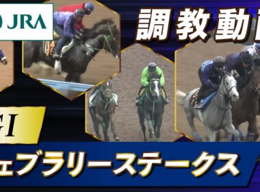 【調教動画】2026年 フェブラリーステークス｜JRA公式