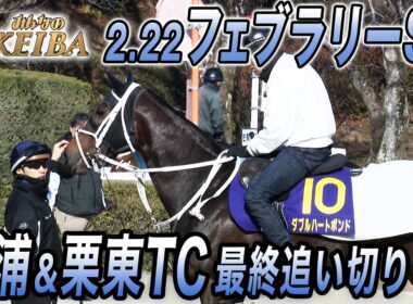 【2026 フェブラリーS・最終追い切り】史上初の女王誕生？3頭目の連覇？そして名伯楽・国枝 最後のGⅠ挑戦！　みんなのKEIBA 2月22日 午後3時放送