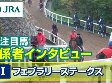 【注目馬 関係者インタビュー】2026年 フェブラリーステークス｜JRA公式