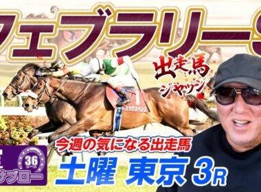 【2026 フェブラリーS】出走馬ジャッジ