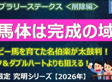 【フェブラリーステークス2026＜削除編＞】「馬体は完成の域」ダービー馬も育てた名伯楽が太鼓判！コスタノヴァ＆ダブルハートボンドを倒せる馬！？