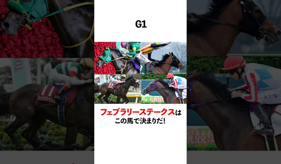 フェブラリーステークスはこの馬で決まりだ！