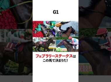 フェブラリーステークスはこの馬で決まりだ！