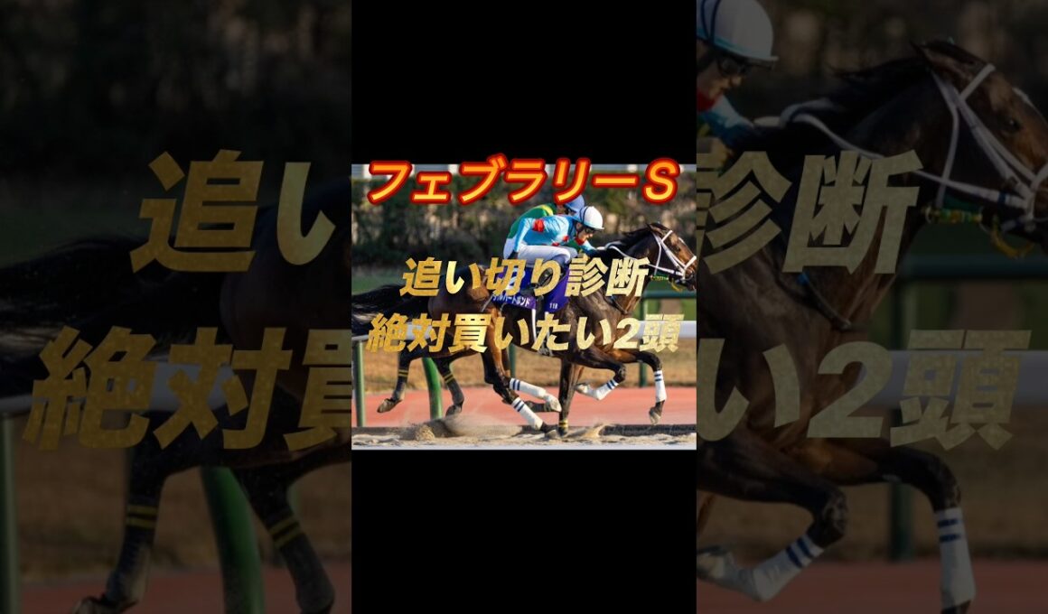 フェブラリーステークス2026 追い切り診断絶対買いたい2頭紹介