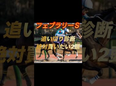 フェブラリーステークス2026 追い切り診断絶対買いたい2頭紹介