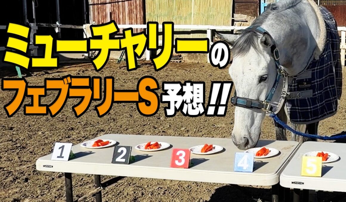 フェブラリーS 3年連続出走のミューチャリーさんに今年の本命を聞いてみた