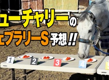 フェブラリーS 3年連続出走のミューチャリーさんに今年の本命を聞いてみた