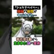 「シェケナベイベー」爆誕の瞬間がヤバすぎた･･･菊花賞8着から生まれた謎の愛称#競馬 #horse