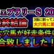 フェブラリーステークス2026【最終結論】 大穴馬が好走条件に合致しました
