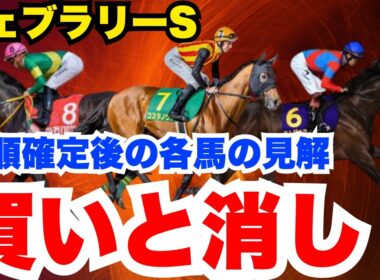 【フェブラリーS】買うべき馬、激走穴馬から危険な人気馬まで元騎手が解説